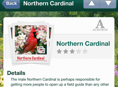 Audubon of Ohio Iphone application UI app application birds educational green iphone mobile nature non profit personal ui