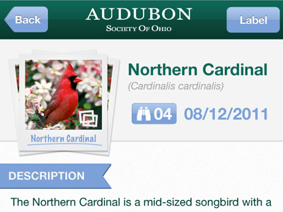 Audubon of Ohio Iphone application UI app application birds educational green iphone mobile nature non profit personal ui