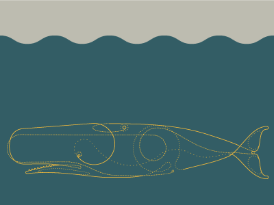 Water bound wanderer sea whale