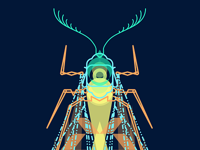 Night Creeper illustration moth nature processing vector