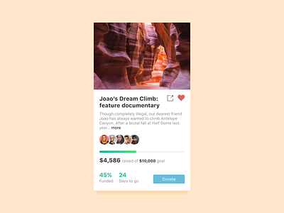 Daily UI 032 / Crowdfunding Campaign