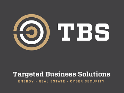 Targeted Business Solutions bullseye business graphic minimal simple solutions strong target targeted