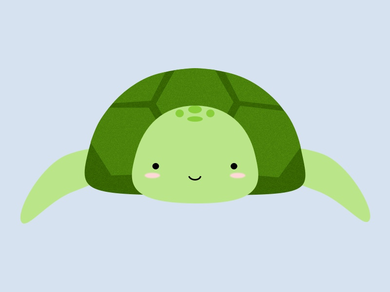 Ted the Turtle by Allison Woo on Dribbble