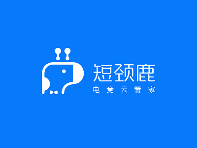 DuanJingLu E-sports Inn PMS - Logo design icon illustration logo
