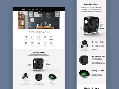 Tivoo - Max Page for Divoom Website design branding web website