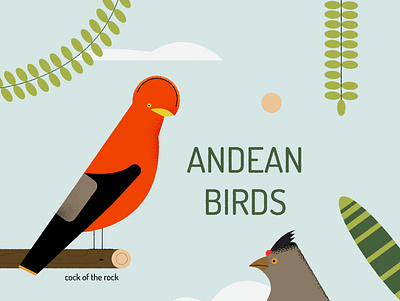 Andean Animals illustration minimal nature peru vector wildlife