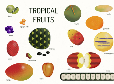 Tropical Fruits food fruit illustration minimal peru poster vector