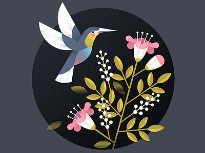 Hummingbird and Flowers adobe illustrator airbrush bird bird illustration floral flower illustration hummingbird illustration kidlit vector vector illustration