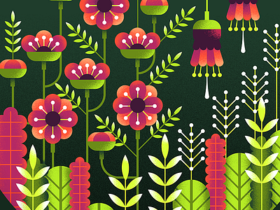 Geometric Flowers illustration illustrator vector illustration