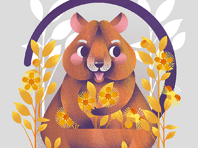 Quokka illustration illustrator kidlit kidlitart vector illustration