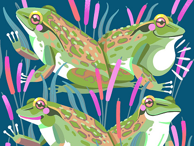 Yagan Square Motorbike Frogs illustration illustrator