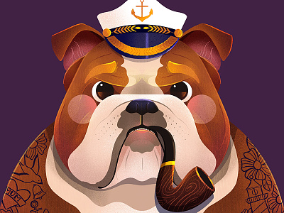 Sailor Bulldog bulldog bulldog illustration childrens illustration dog dog illustration illustration illustrator kidlit procreate sailor sailor illustration