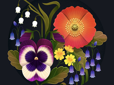 Flower Studies