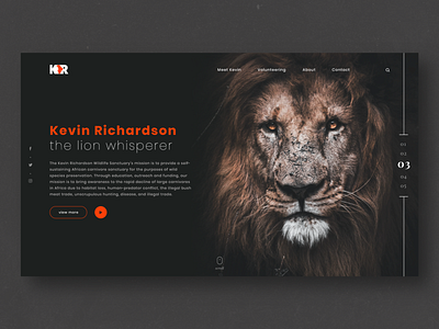 Lion Whisperer Page Concept