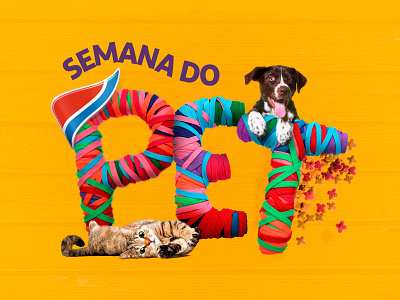 Semana do Pet advertising branding design logo manipulation retouching