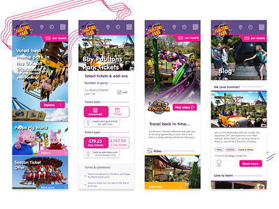 Paultons Park website designs website design