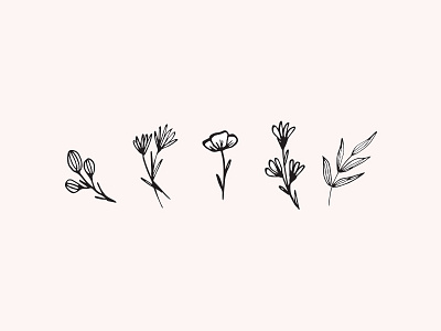 Floral sketches