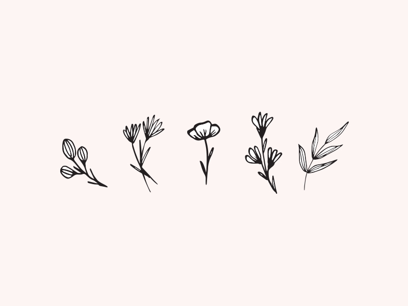 Floral sketches by Bianca Stanton on Dribbble