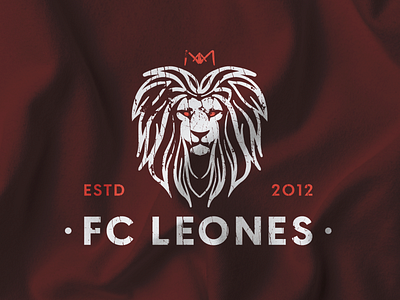 FC LEONES SOCCER