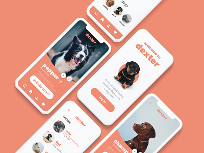 Dexter App for Dog Shelters app app design design dog shelter dogs iphone app puppy uxui