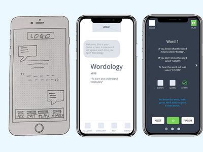 Wordology - UX Research project design digital design