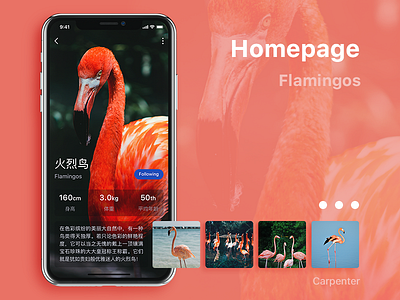 Homepage