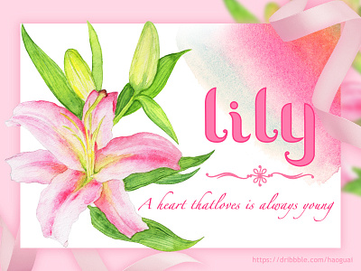 Lily artist designer graphic illustration