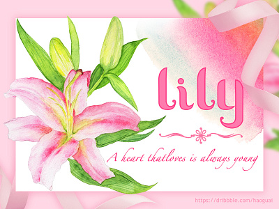 Lily