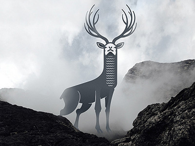 Cervo de Pisciadù deer fog mountain rocks