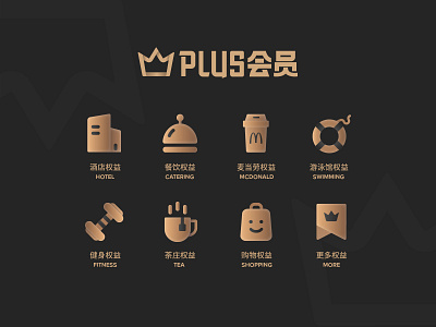 PLUS membership icon logo typography 中文字体