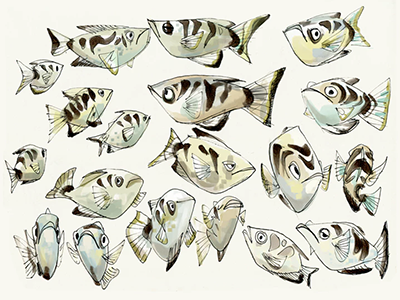 Fish Drawings stock vector. Illustration of graphic, drawing - 30862734