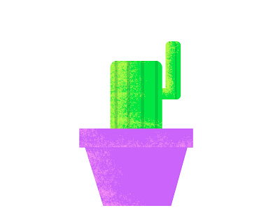 Kaktus design design graphic flat ftatillustration graphic design illustration vector