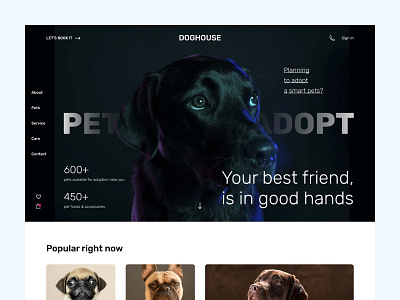 Dog House design dog doghouse landingpage ui website