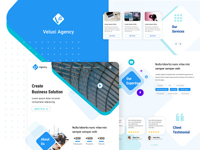 Veluxi Agency agency business company profile corporate homepage landing page single page ui ux