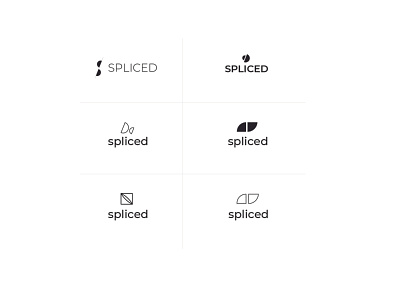 Spliced Logo Exploration branding logo