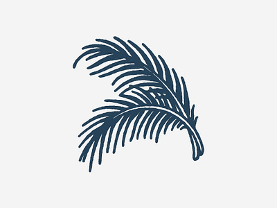 Palm Leaf By Tom Sykes On Dribbble Palm Leaf By Tom Sykes On Dribbble