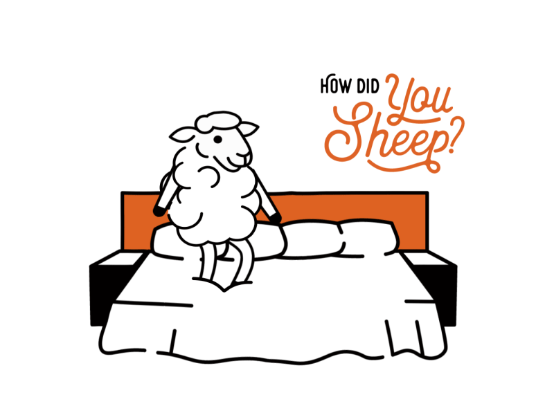 Sleep Sheep | Hotel Ketchum animation animator bellman fluffy hotel ketchum idaho minimal motion motion design motion graphics sheep sun valley