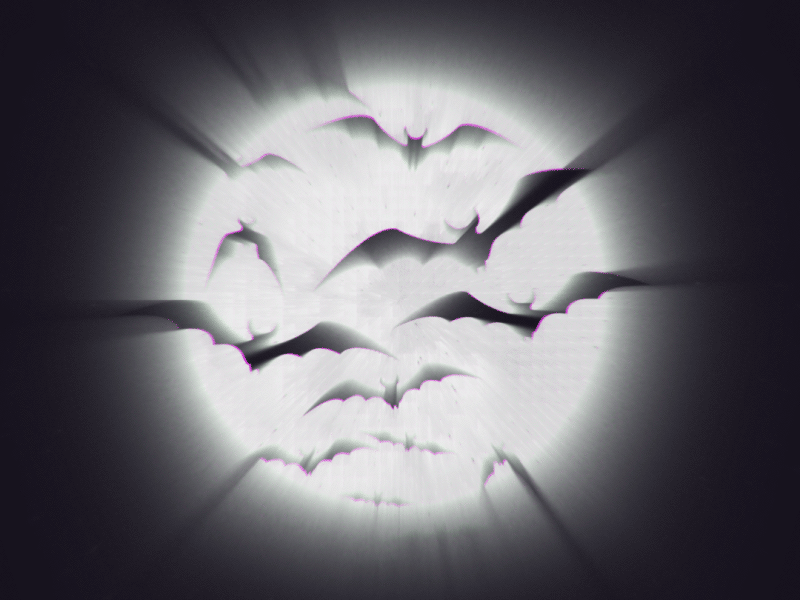 Full Moon Bats animation bats fall flying bats halloween halloween design happy halloween illustration minimal moon motion motion designer motion graphics night scary spooky