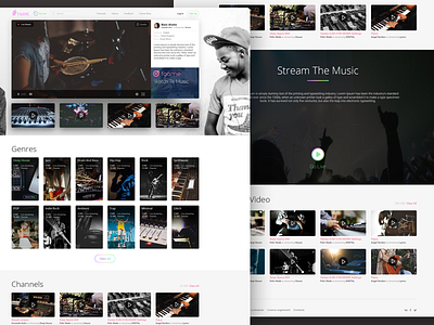 Stream The Music features ui ui design web web design web site