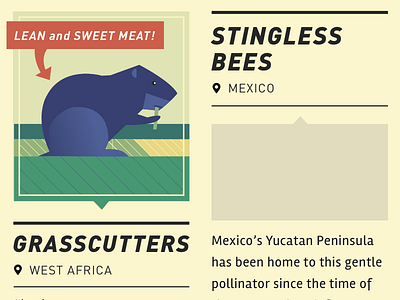 Infographic on the beasts of Heifer animal geometric grasscutters illustration infographic