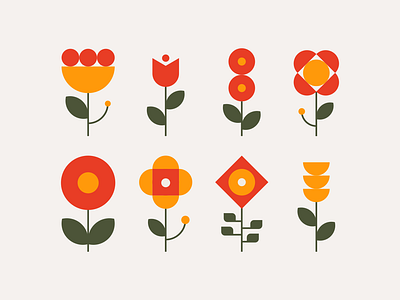 Flores botanica design flowers geometric geometrical graphic design grid illustration mark modern plants rose vector