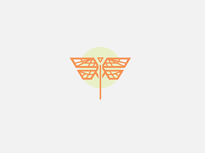Dragonfly bee brand identity branding butterfly dragonfly logo logo design