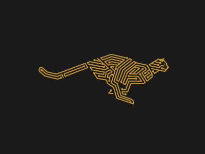 Circuit Cheetah