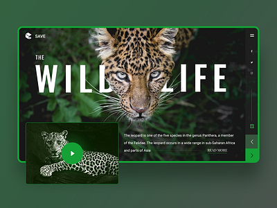 Wildlife banner green leopard presentation website website banner wildlife