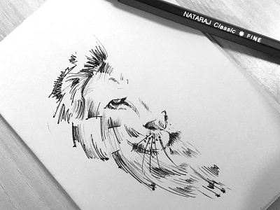 Lion sketch drawing line lion paper pen sketch