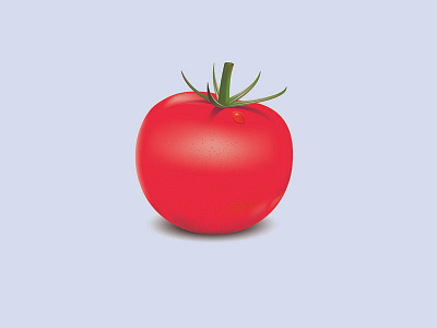 Shiny Tomato graphic design illustration illustrator tomato visual design