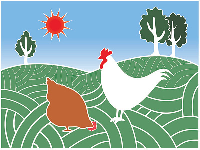 Chickens and Fields: Illustrator