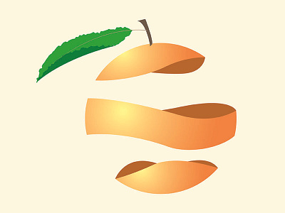 Spiral Fruit: Orange branding fruit graphic design illustration illustrator logo orange photoshop visual design