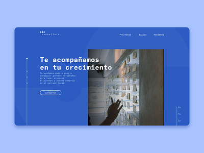 SIC Consultora - UI app blue branding design logo peru peruvian ui ui design ux ux design
