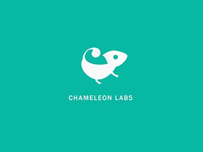 Chameleon branding colors design logo